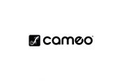 Cameo Lighting Day στο Gazarte